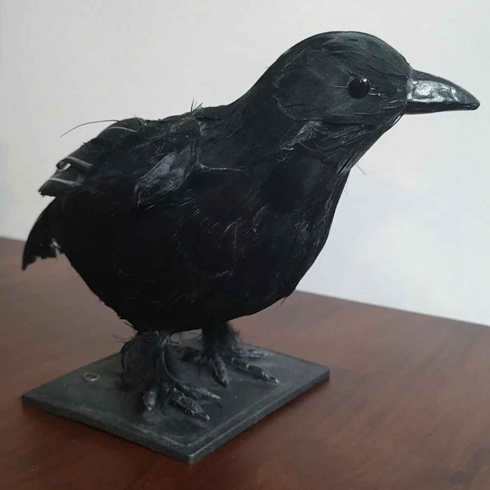 Black Raven Crow Sculpture Real Feathers Bird Halloween Decor Movie Set Prop - Picture 12 of 14